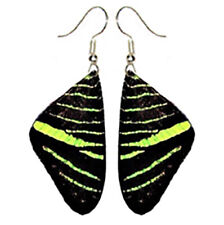 Urania leilus forewing yellow green black earrings picture