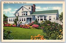 Chester, New Jersey NJ - Melrose Farms - Vintage Postcard - Unposted picture