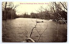 Postcard Scene On Guadalupe River Gonzales Texas picture