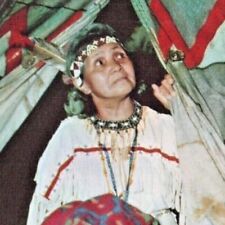 Vintage 1955 Indian Woman Native American Indigenous Petoskey Michigan Postcard picture
