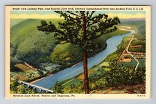 Bucktail Trail PA-Pennsylvania Aerial View River Bridge Parks Vintage Postcard picture