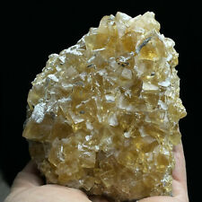 1.1 LB Golden Yellow Transparent Cubic Calcite Crystal Mineral Specimen - Fujian picture