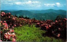Roan Mountain Fairyland Purple Rhododendron Postcard VTG UNP Dexter Vintage picture