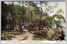 Postcard Lake Attitash, Amesbury MA hand-colored N80 picture