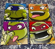 Teenage Mutant Ninja Turtles Set of 4 Canvas Pictures 11