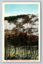 Yellowstone National Park-Roaring Mountain, Antique, Vintage Souvenir Postcard picture