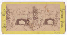 RARE Antique 1870's Garrison New York Hudson Railroad Tunnel Photo Card P008 picture