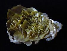 Wulfenite Crystals-1 1/2