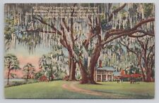 Florida Largest Live Oak Stowe Lodge Mandarin Florida Linen Postcard No 5868 picture