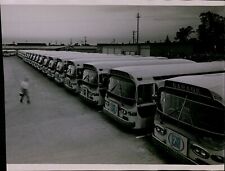 LG865 1965 Orig Savaria Photo FRESNO CITY BUSES Parked in Lot Public Transport picture