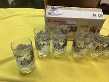 Budweiser Retro Pint Glass Complete Set of 8 Pint Glasses Vintage 16 oz MInt NOS picture