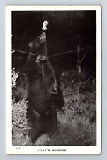 Atlanta MI-Michigan, General Greetings, Bear Standing Up, Vintage Postcard picture