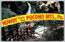 Howdy Pocono Mountains Pennsylvania Buck Hill Falls Chrome Cancel WOB Postcard picture