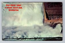 WA-Washington, Wild Horses Tamed, Grand Coulee Dam, Antique, Vintage Postcard picture