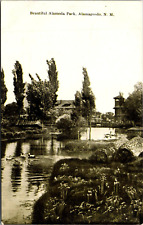 Alamagordo, New Mexico Beautiful Alameda Park Postcard Ducks & Geese on Water picture
