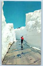 Tacoma Washington WA Postcard Snow Alley Typical Deep Snow Ski-Country c1960's picture