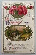 1912 John Winsch Birthday Greetings pink carnations cottage vintage Postcard picture