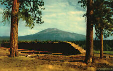 Postcard Burney Mountain California CA Landscape Scenic View Pine Trees picture