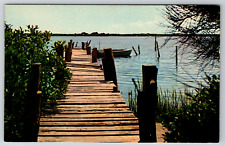 c1960s Fishing Dock Pier Englewood Florida Vintage Postcard picture