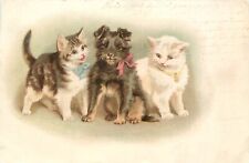 UDB Animal Art Postcard; 2 Cats & Terrier Dog, Helena Maguire Posted 1903 France picture