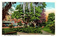 postcard The Mall Avon Park Florida A0714 picture