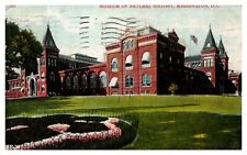 postcard Museum of Natural History 1907 Washington D.C. A1574 picture