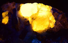 Rare Fluorescent Afghanite Crystals With Wernerite Scapolite On Matrix 668Gram picture