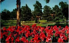 Long Beach California CA Red Cannas Sunken Gardens Park Postcard VTG UNP Mirro picture
