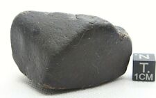Chondrite meteorite incredible show piece, unclassified meteorite 125 gram picture