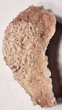 Druse on Apophyllite Large Specimen Healing Stone Metaphysical Home Decor Zel3 picture