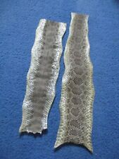 2 rattlesnake skin pieces Snake skin scraps pen blanks small wrap education L8 picture