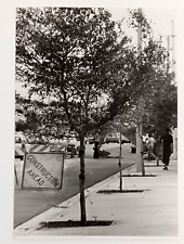 1981 Miami Florida Little River NE 2nd Ave Tree Planting Sidewalk FL Press Photo picture