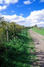Photo 6x4 Green Lane Byway Newney Green South of Roxwell c2017 picture
