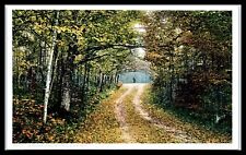 MICHIGAN Postcard - Mackinac Island, Autumn Scene, Leaf Covered Dirt Road F36 picture
