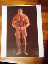 Mr Olympia ARNOLD SCHWARZENEGGER bodybuilding muscle photo picture