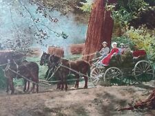 Vtg postcard. Stage road between Wawona Yosemite valley, California. Carriage picture