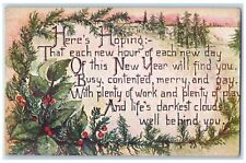 1910 New Year Message Holly Berries Coatsburg Illinois IL Antique Postcard picture