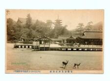 Japan Postcard Early 1900's Carte Postale Japanese Architecture Landscape Deer picture
