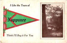 I Like the Town of Nappanee Indiana Think I'll Buy It For You 1913 Postcard IN picture