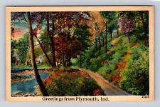 Plymouth IN-Indiana, Greetings Scenic Autumn Roadway View Vintage c1939 Postcard picture