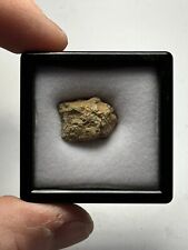 NWA 12241 Martian Shergottite Meteorite 2.53g picture