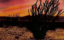 1940s SOUTHERN CAIFORNIA OCOTILLO CANDLEWOOD PLANT LINEN POSTCARD 26-173 picture