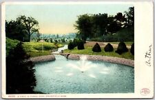 1907 A Vista In Forest Park Springfield Massachusetts Landscape Posted Postcard picture