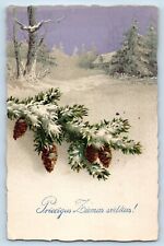 Latvia Postcard Christmas Pinecone Winter Scene House And Pinetree c1910's picture