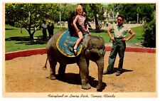 Lowry Park Tampa Florida Fairyland Child Riding Elephant Postcard c.1960 picture