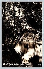 c1938 RPPC Litchfield Michigan MI Mill VINTAGE Postcard picture