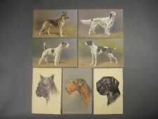 Vintage Dog Postcards, Lot of 7, Swiss Made picture