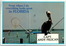 Postcard - Pelican - Florida, USA picture