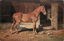 c1907 Art Postcard 816 Signed W. Veltem, Golden Brown Horse by Barn, Pigeons picture