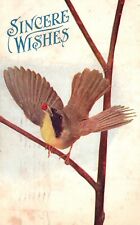 Vintage Postcard 1909 Sincere Wishes Bird On Tree Twig Wish Card Souvenir picture
